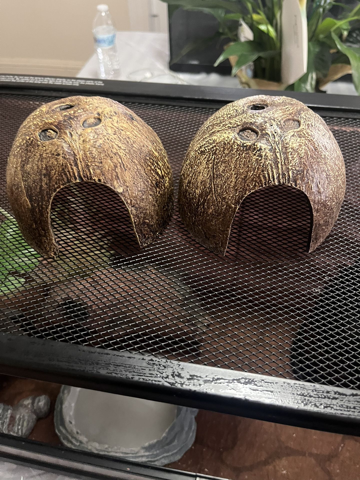 Reptile 20 Gallon Tank