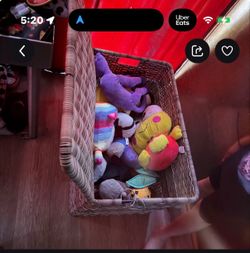 You can either buy the storage container or the stuffed animals