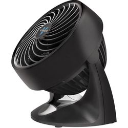 Whole room air circulator