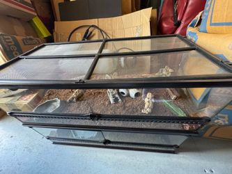 Reptile cages