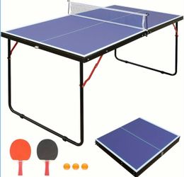 Ping Pong Table