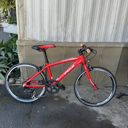 Fuji Red Bike 20’