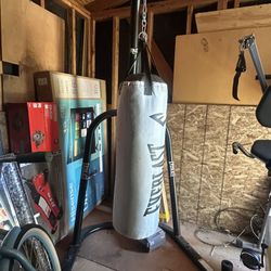 Punching Bag W/ Stand