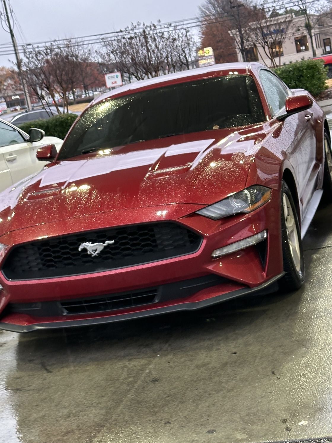 2019 Ford Mustang