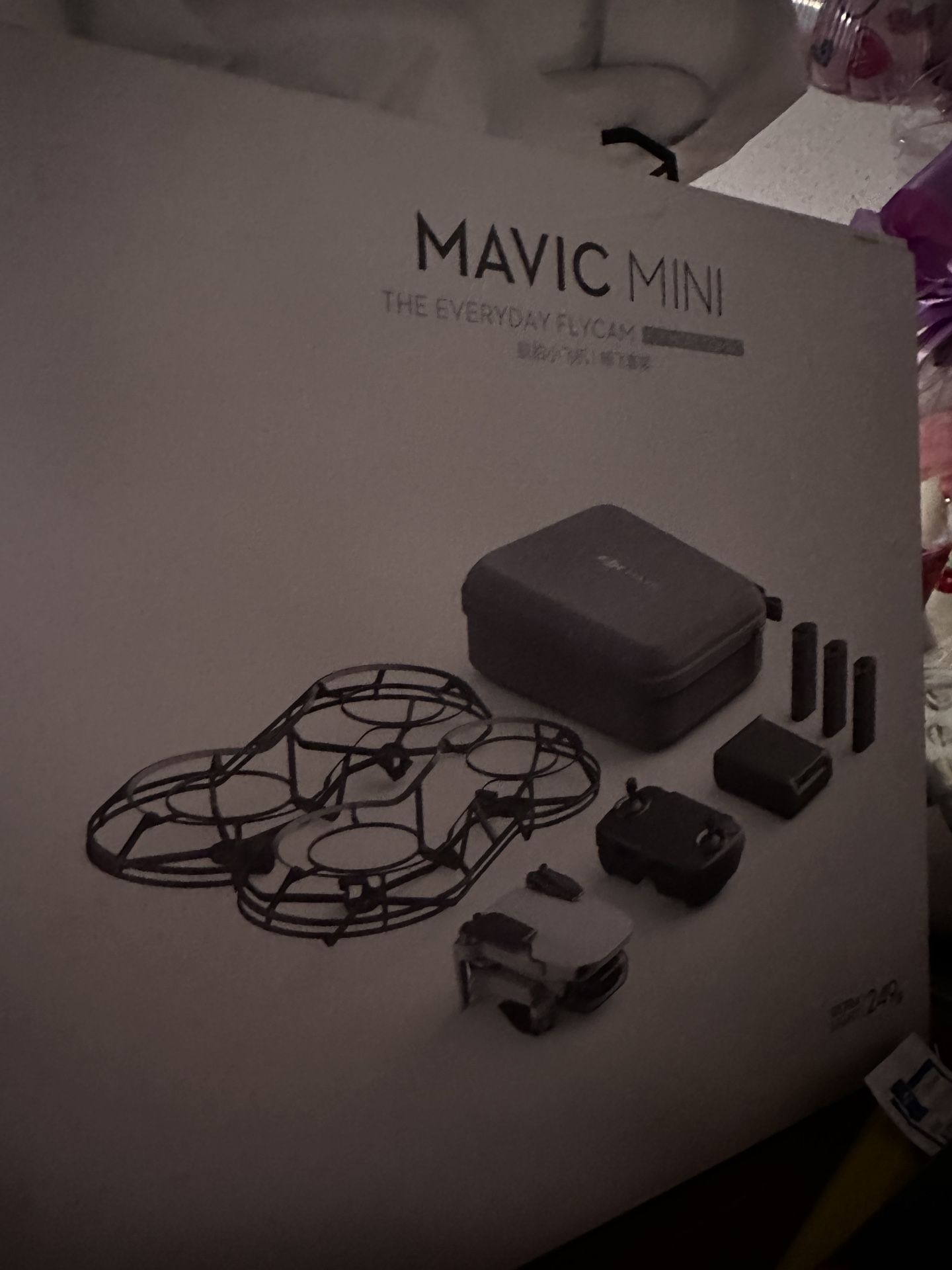 Mavic Mini Drone 