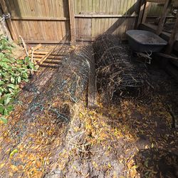 Painted and non-painted fence poles and fence wire