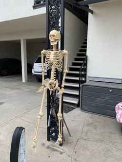 Full Size Human Skeleton Halloween Decoration with red light up eyes
