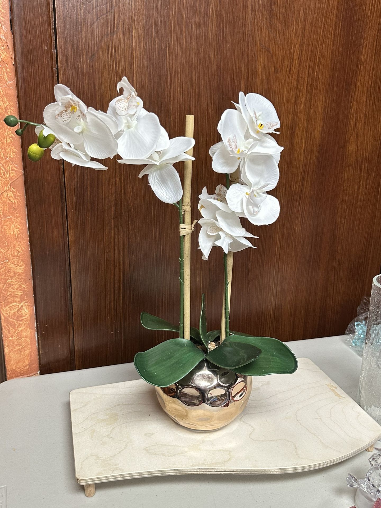 Orchid with pot modernist style