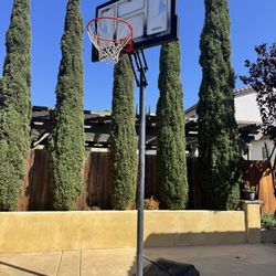 Basketball Hoop