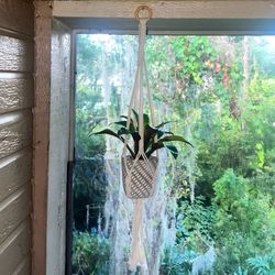Vibrant Green Artificial Potted Plant & Boho Macrame Hanger Modern Home Decor Accent