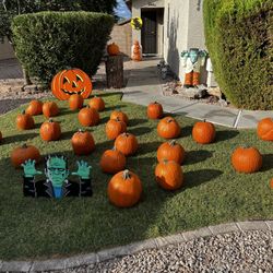 FREE Pumpkin Patch In San Tan Valley FREE