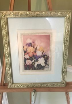 Beautiful picture of flowers - Iris