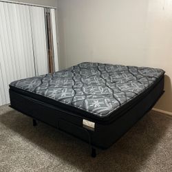 Kings and Queens new mattresses