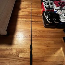 Fishing Rod