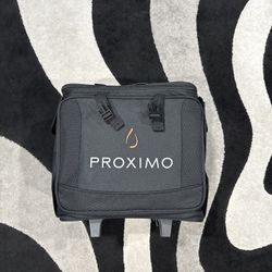 Bodega 12 Pack Wine Tote And Cooler 