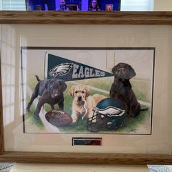 Eagles Picture 