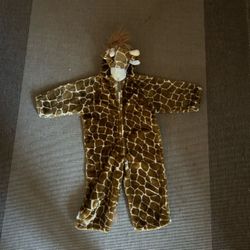 Costume