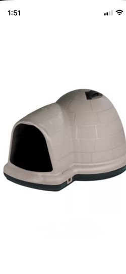 XL Igloo