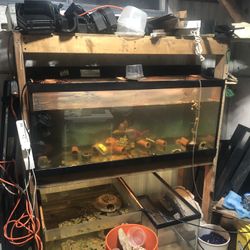 Complete Fishroom Everything You Could Possibly Need. 