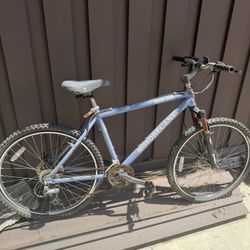 Free Bicycle 