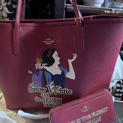Snow White Coach Purse And Wallet