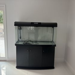 100 Gallon fish Tank