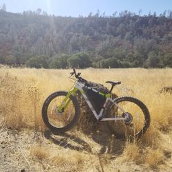 Fatbike SALSA BEARGREASE For Sale, Large. Green