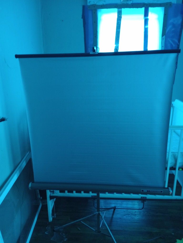 Vintage Sears Projection Screen