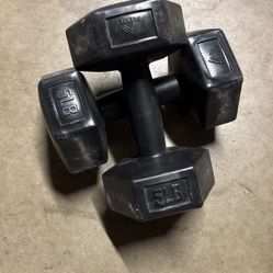 Gym weights 5 Lbs