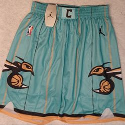 Charlotte Hornets Jordans Men's Size Extra Large Brand New NBA Basketball Shorts