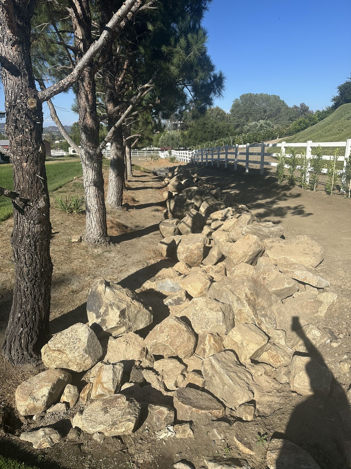 Free Rock
