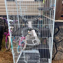Ferret, Bird, Small Animal Cage