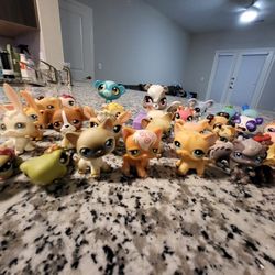 Lps Toy Lot 