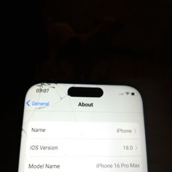 iPhone 16 Pro Max