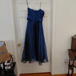 Prom/Homecoming Or Evening Dresses