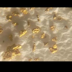 Tiny Gold Nuggets $100