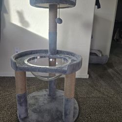 Cat  Tower 