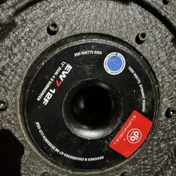Bocinas 12 “
