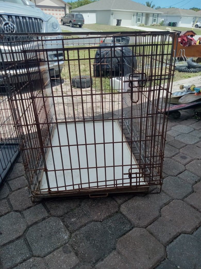 Large Dog Pen