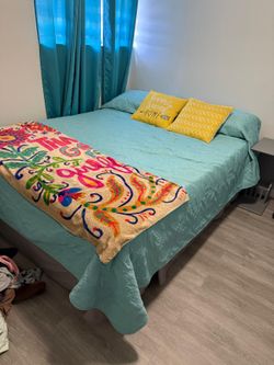 FREE bed!