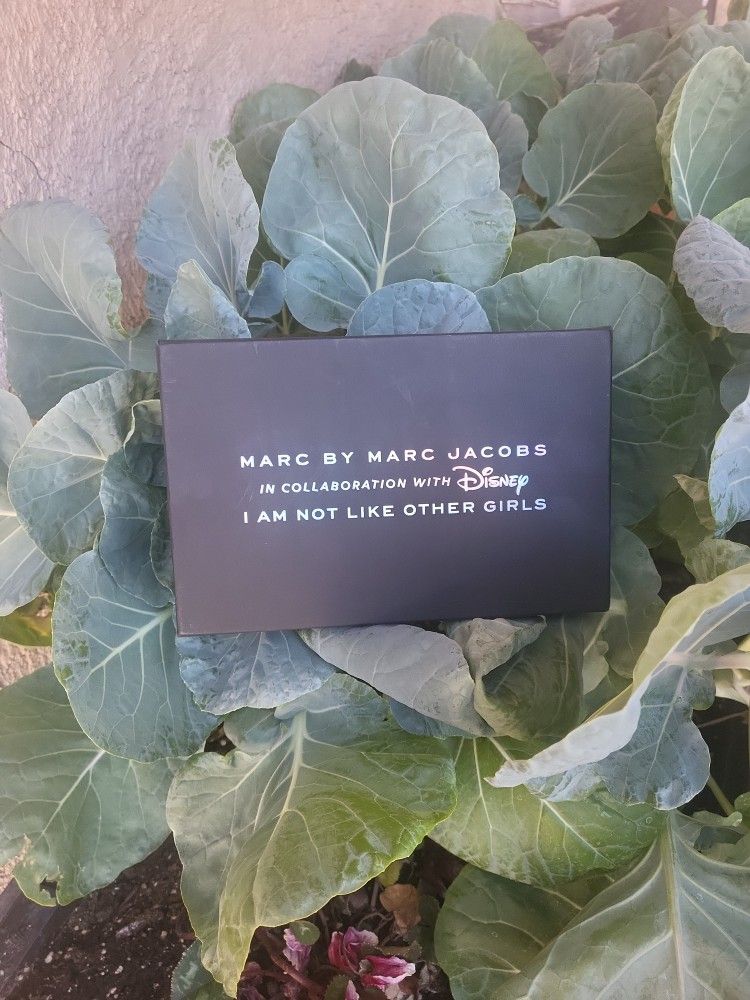 Marc By Marc Jacobs Wallet