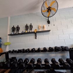 Full Gym Setup