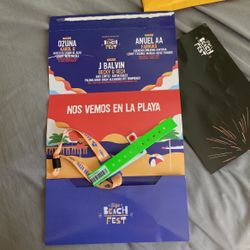 Baja Beach Fest Weekend 2 August 20-21 