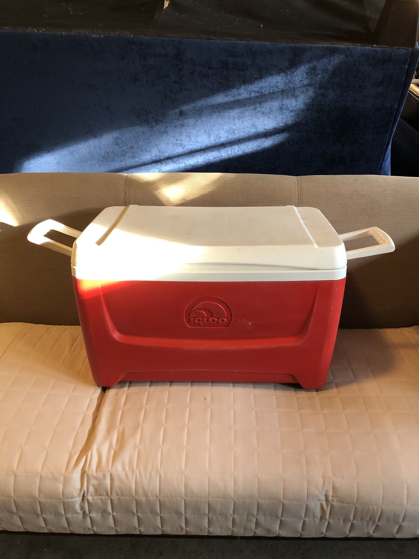 Igloo 48 Quart Cooler In Good Condition