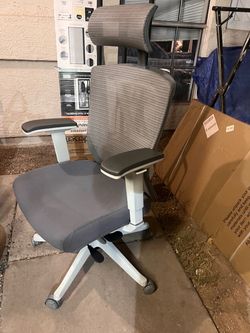 Autonomous - ErgoChair Pro Ergonomic Office Chair