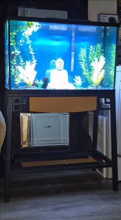 Deluxe 💎 Buddha Themed 30G Aquarium n Metal Stand. Pecera Completa Con Accessorios y mueble.