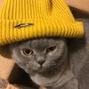 Aleks