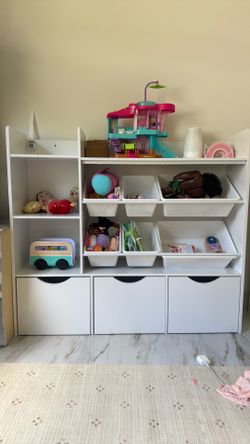 Kids Toy / Book Organizer