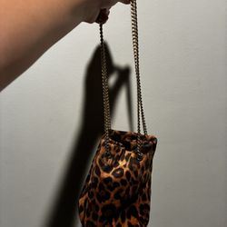 Express Cheetah print bag