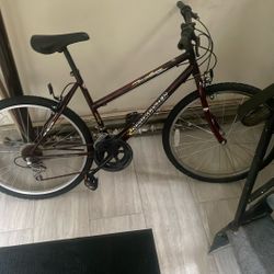 Road Master Bike 